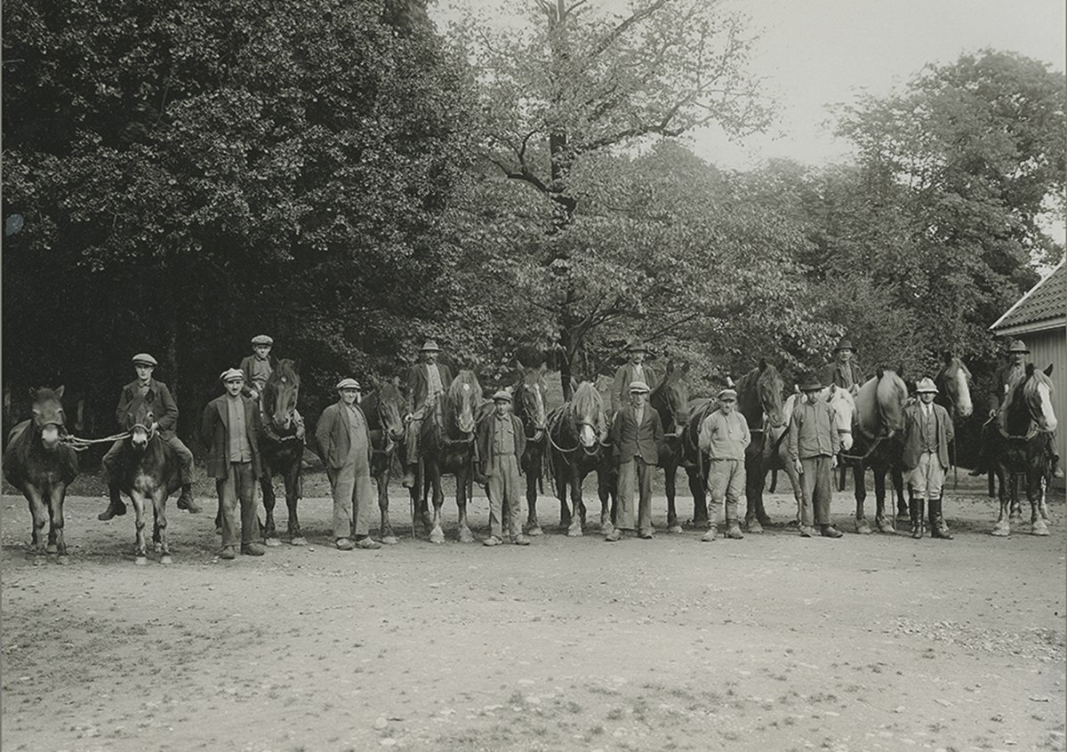 Berte Gård 1931